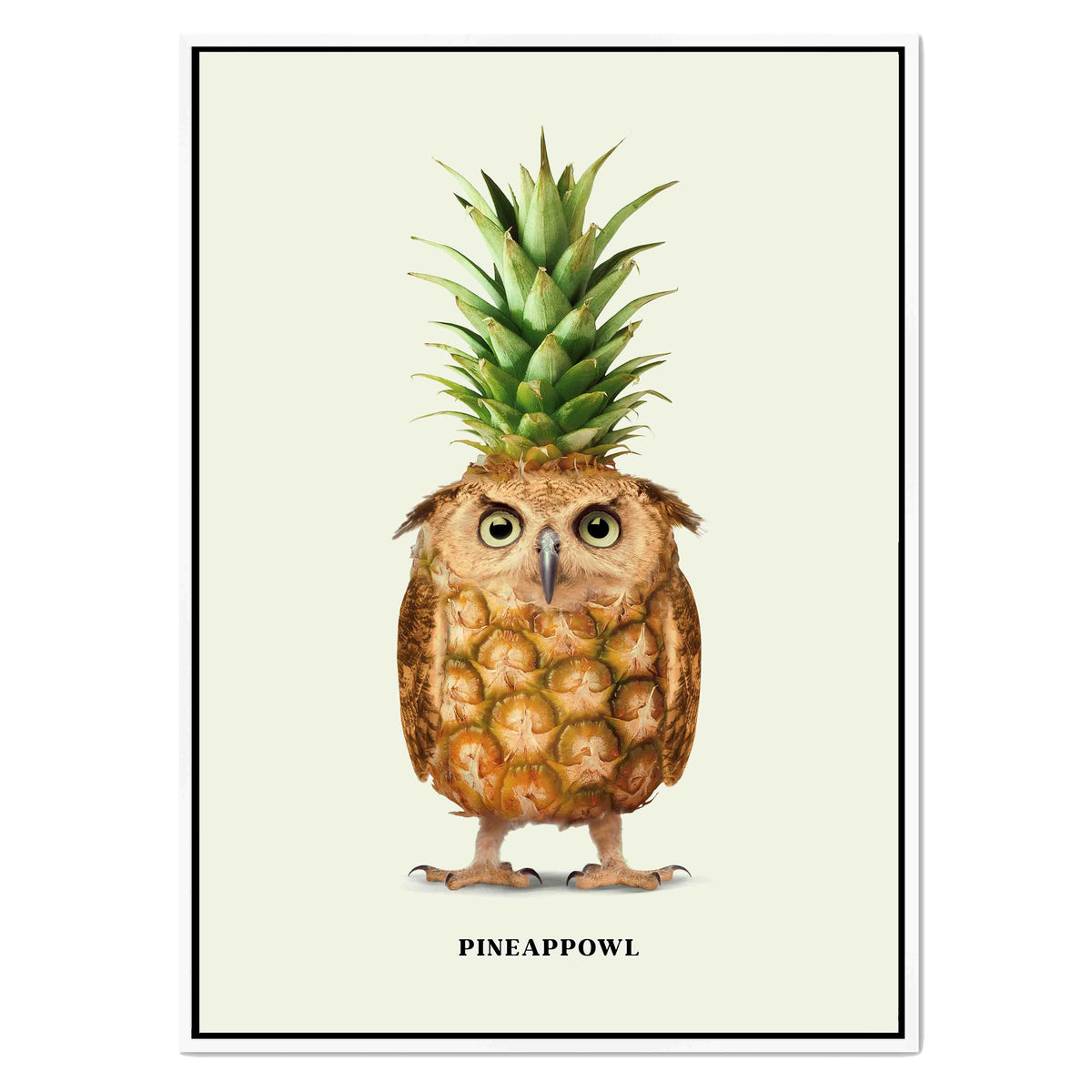 Fernwood Loop Owl Canvas Wall Art — gallery image 49