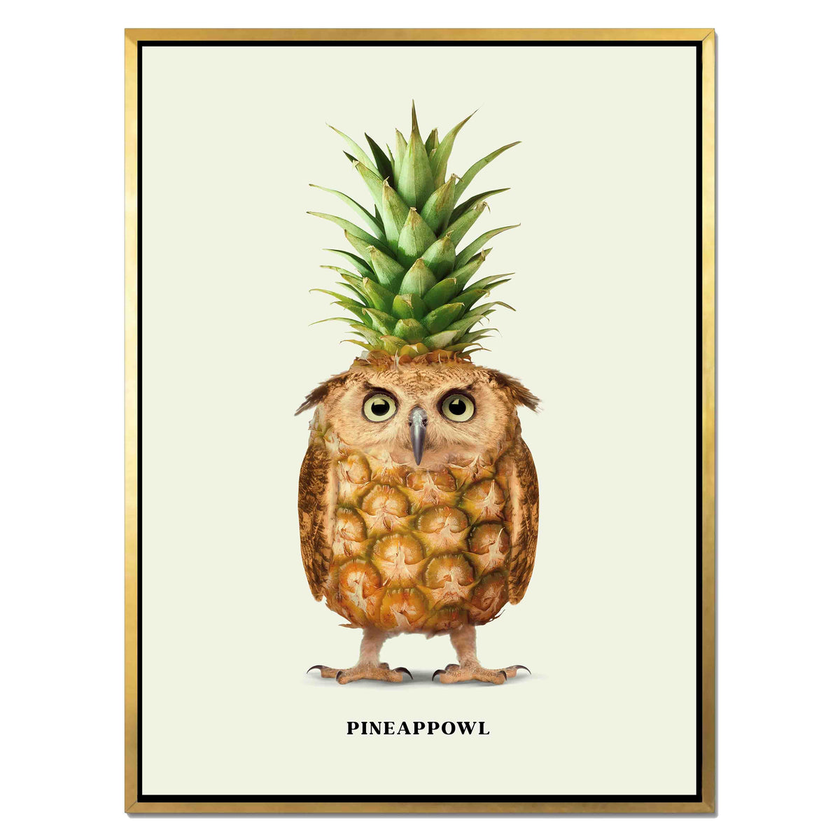 Fernwood Loop Owl Canvas Wall Art — gallery image 34