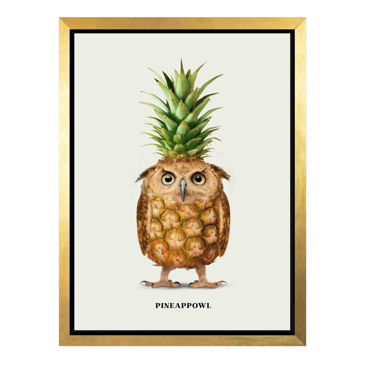Fernwood Loop Owl Canvas Wall Art — gallery image 32