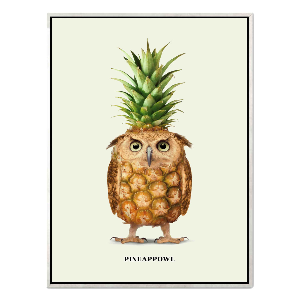 Fernwood Loop Owl Canvas Wall Art — gallery image 47