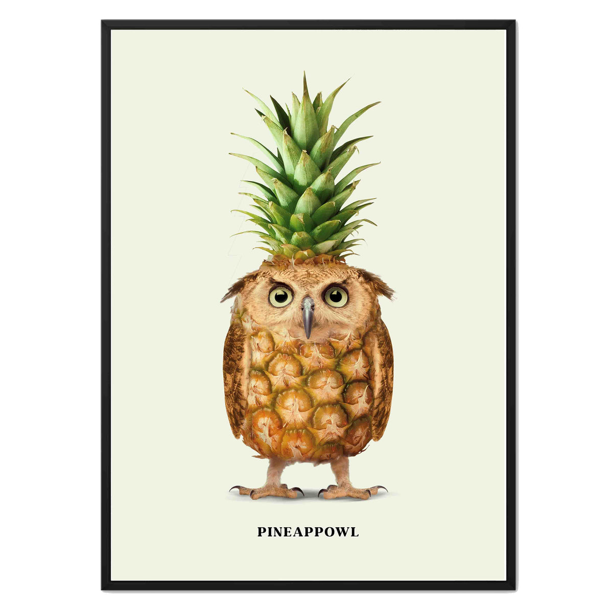 Fernwood Loop Owl Canvas Wall Art — gallery image 19