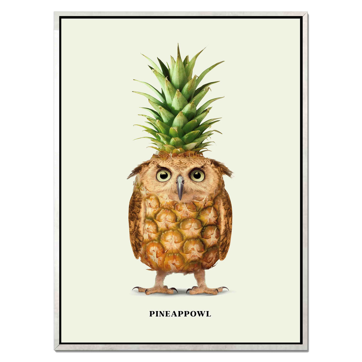 Fernwood Loop Owl Canvas Wall Art — gallery image 46