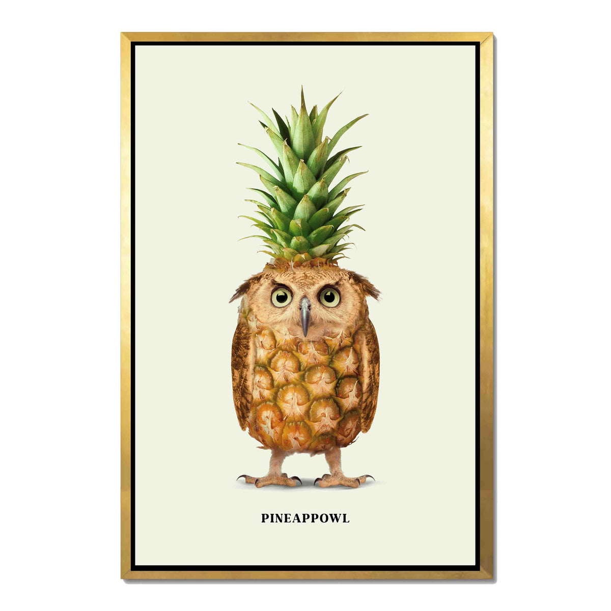 Fernwood Loop Owl Canvas Wall Art — gallery image 33