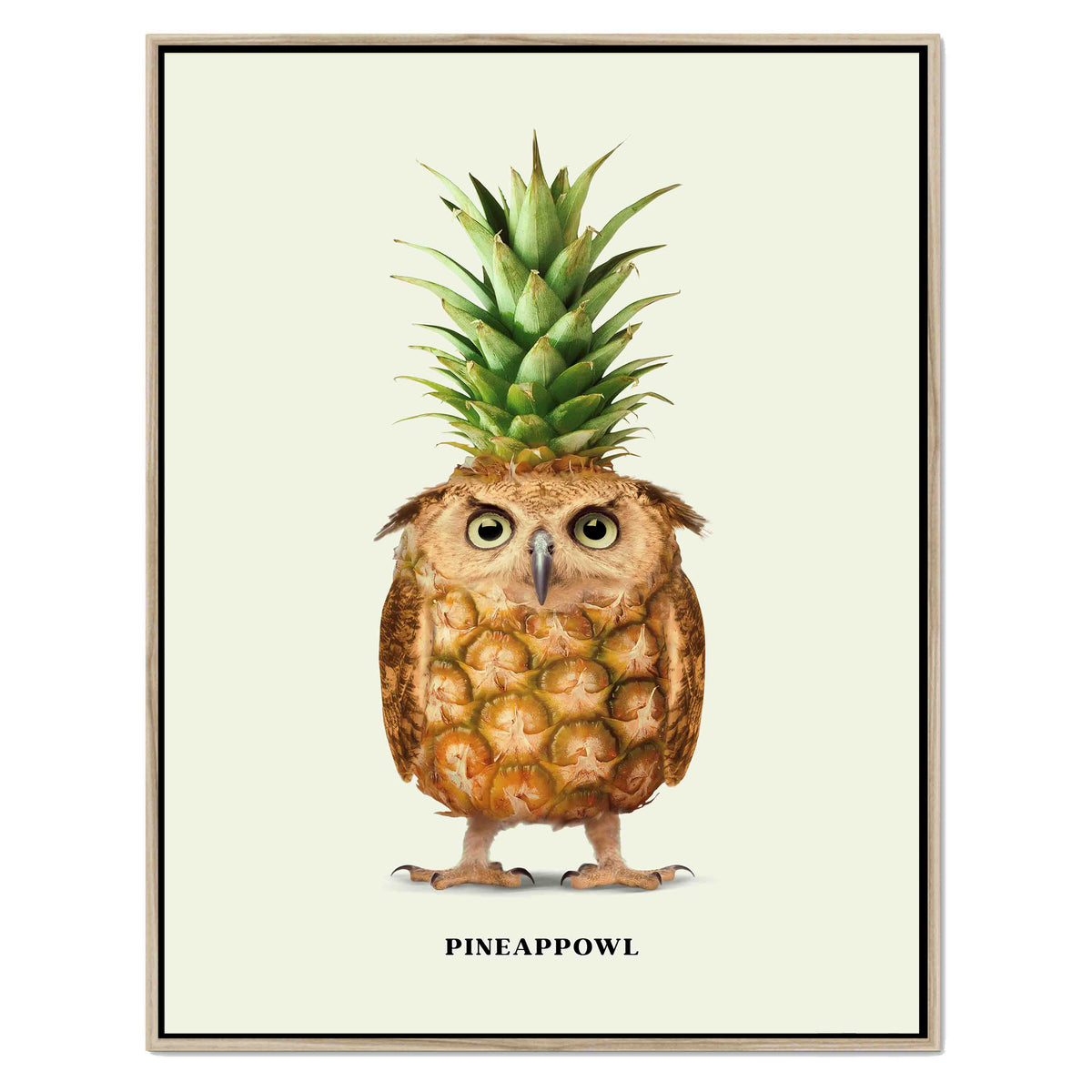 Fernwood Loop Owl Canvas Wall Art — gallery image 36