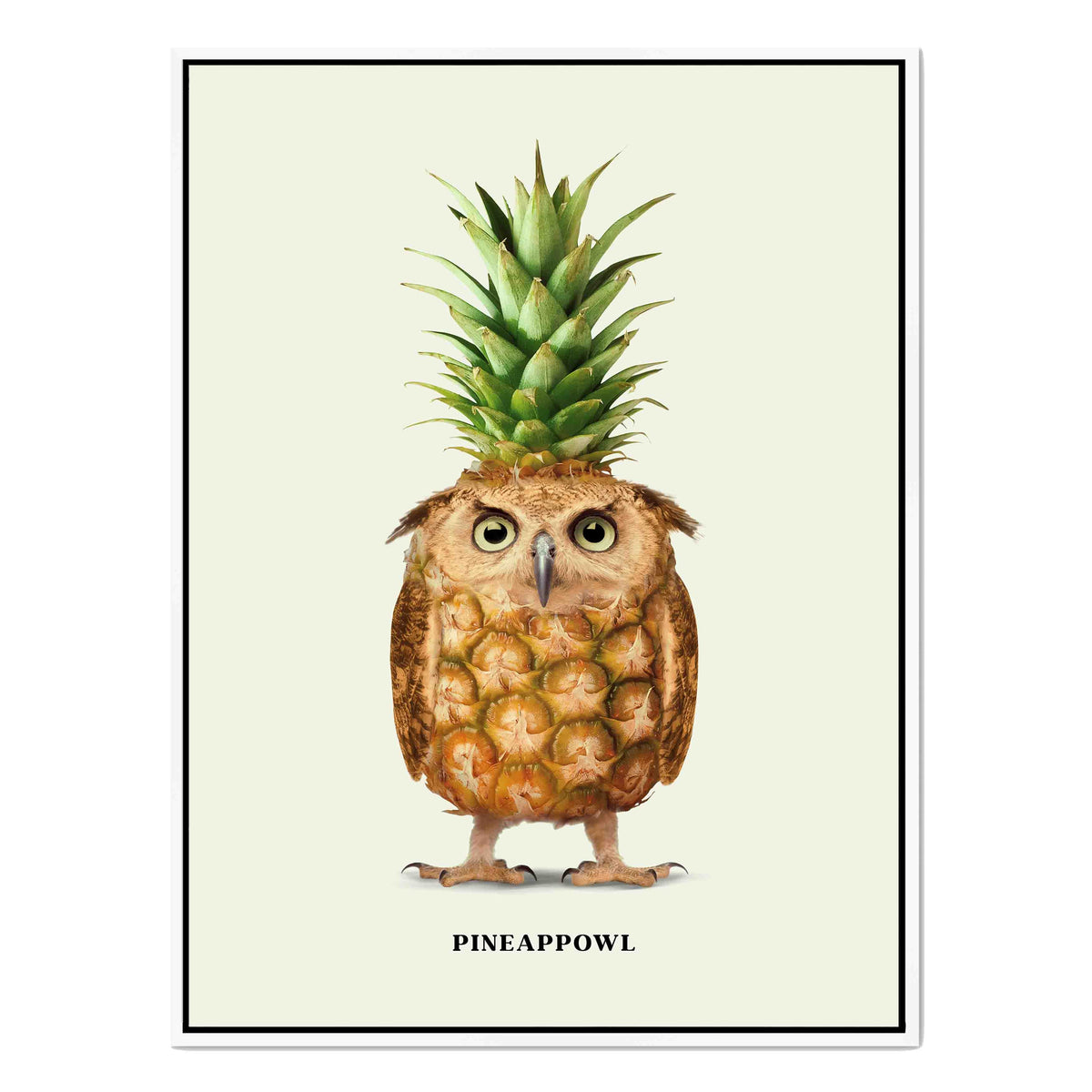 Fernwood Loop Owl Canvas Wall Art — gallery image 53