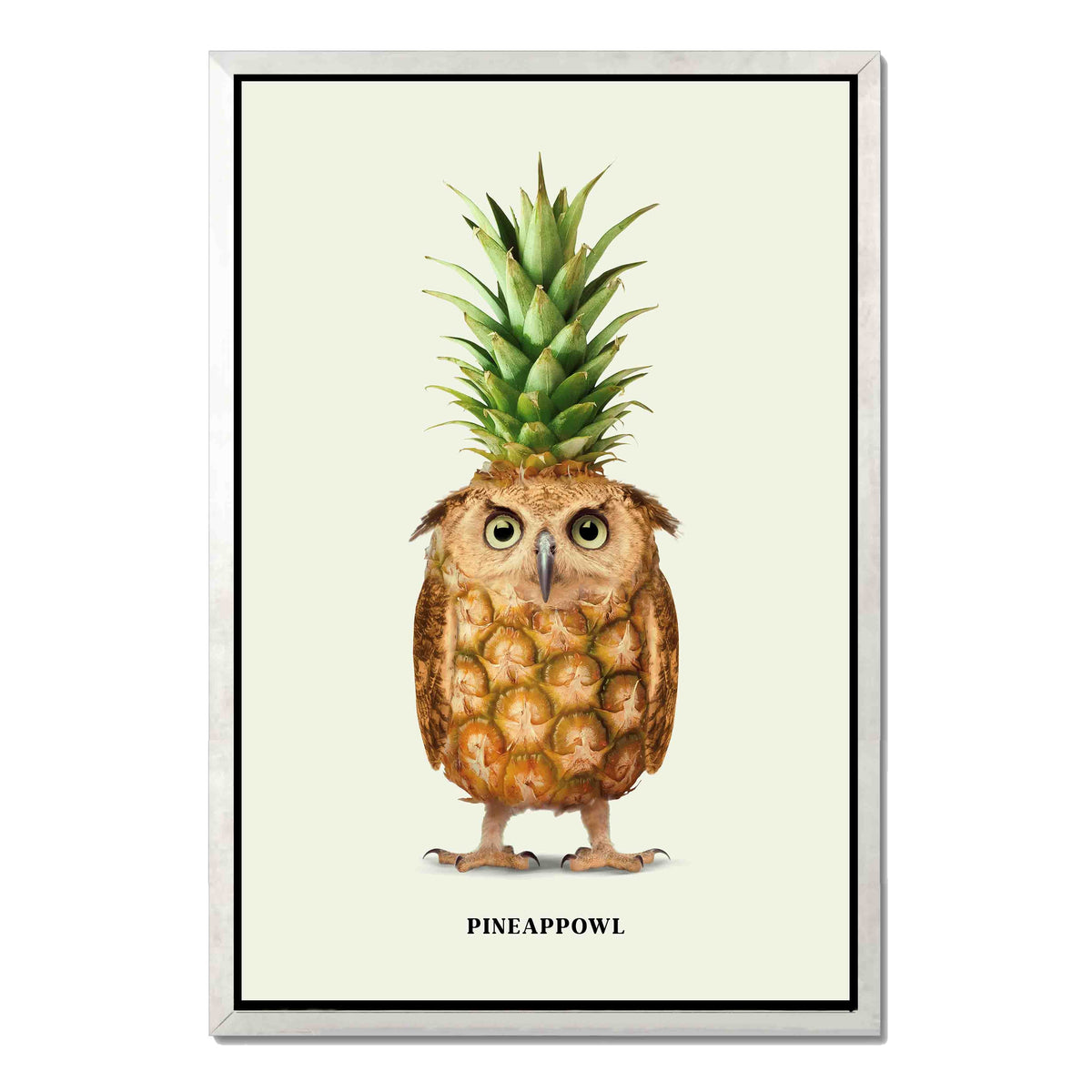 Fernwood Loop Owl Canvas Wall Art — gallery image 45