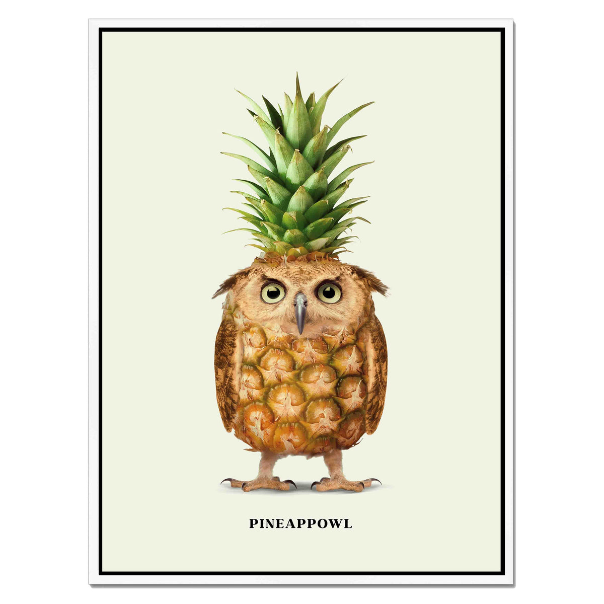 Fernwood Loop Owl Canvas Wall Art — gallery image 52