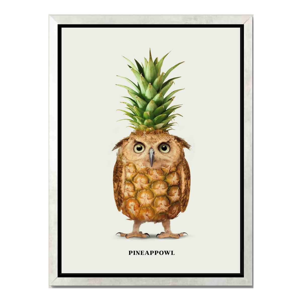 Fernwood Loop Owl Canvas Wall Art — gallery image 44