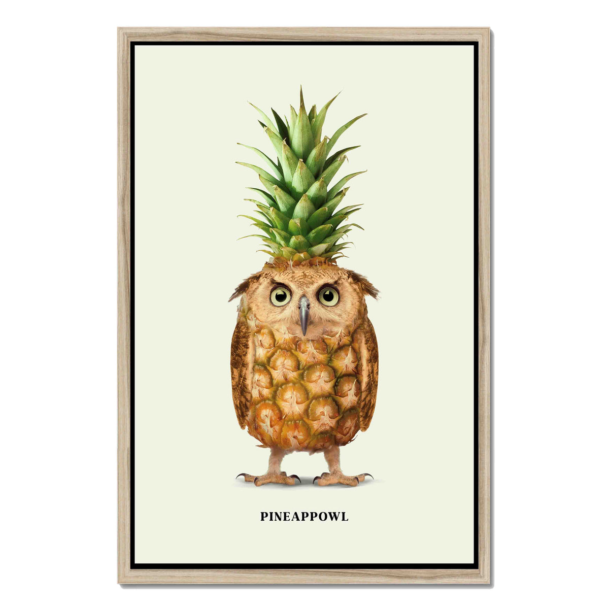 Fernwood Loop Owl Canvas Wall Art — gallery image 39
