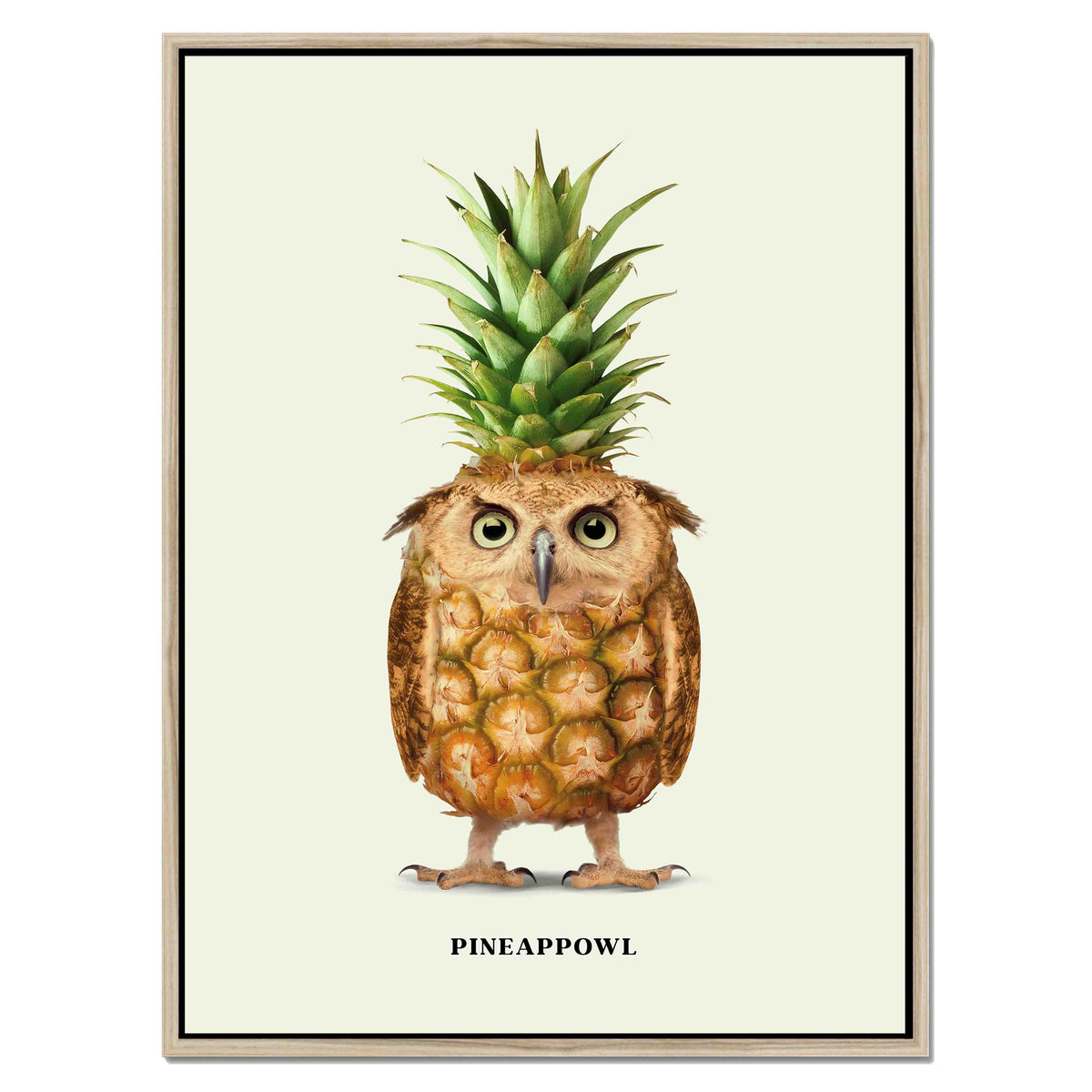 Fernwood Loop Owl Canvas Wall Art — gallery image 40