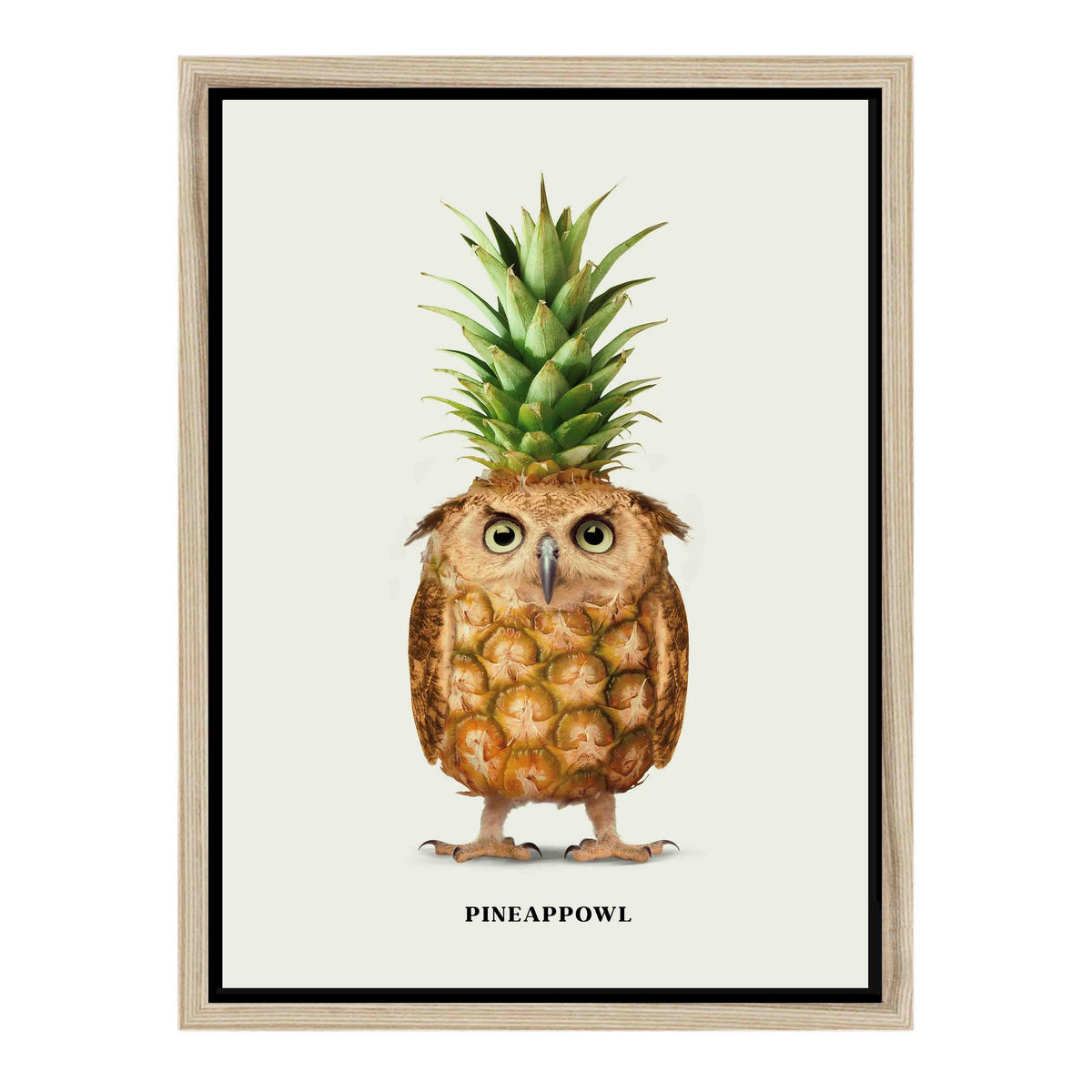 Fernwood Loop Owl Canvas Wall Art — gallery image 38