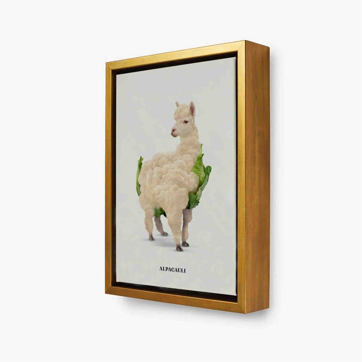 Greenwood Loop Alpaca Canvas Wall Art — gallery image 10