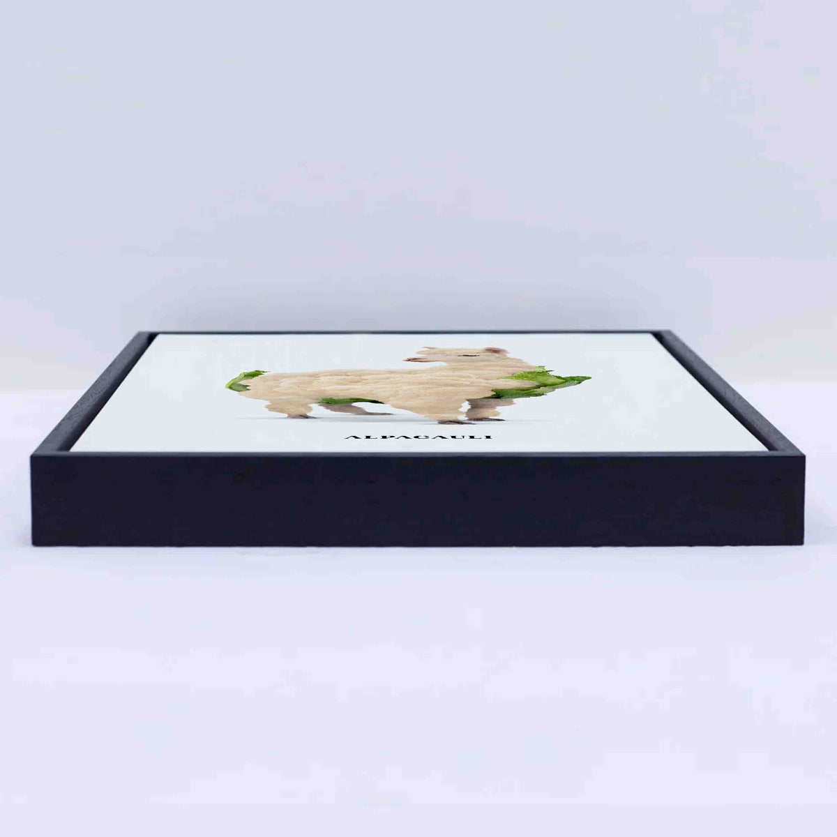Greenwood Loop Alpaca Canvas Wall Art — gallery image 12