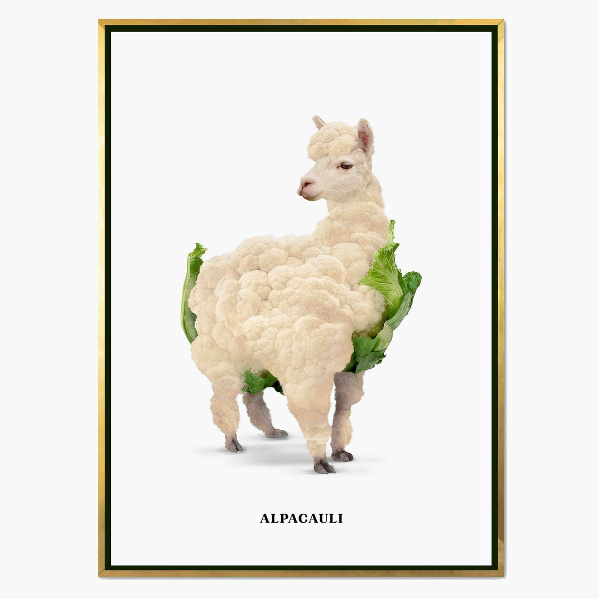 Greenwood Loop Alpaca Canvas Wall Art — gallery image 1