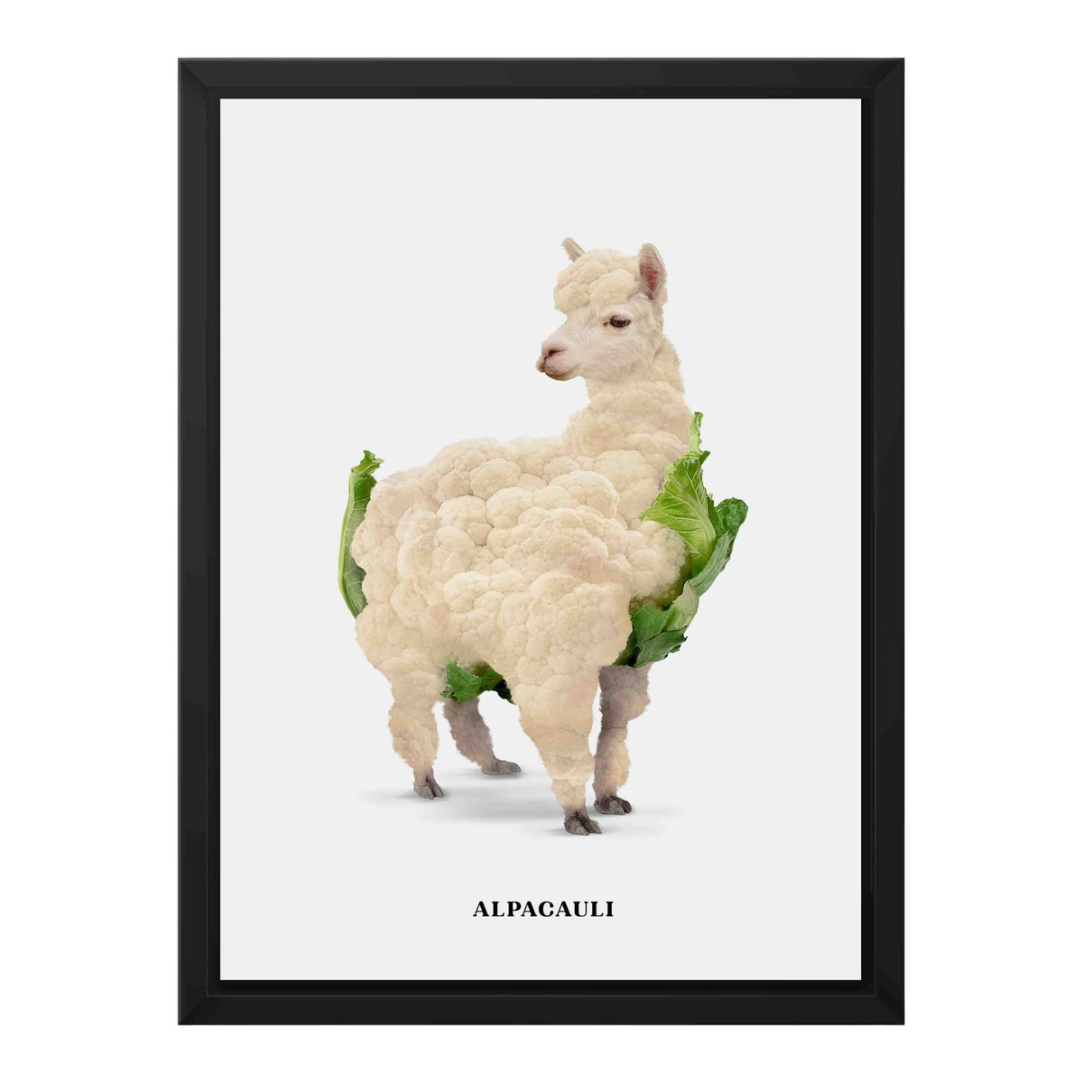 Greenwood Loop Alpaca Canvas Wall Art — gallery image 20