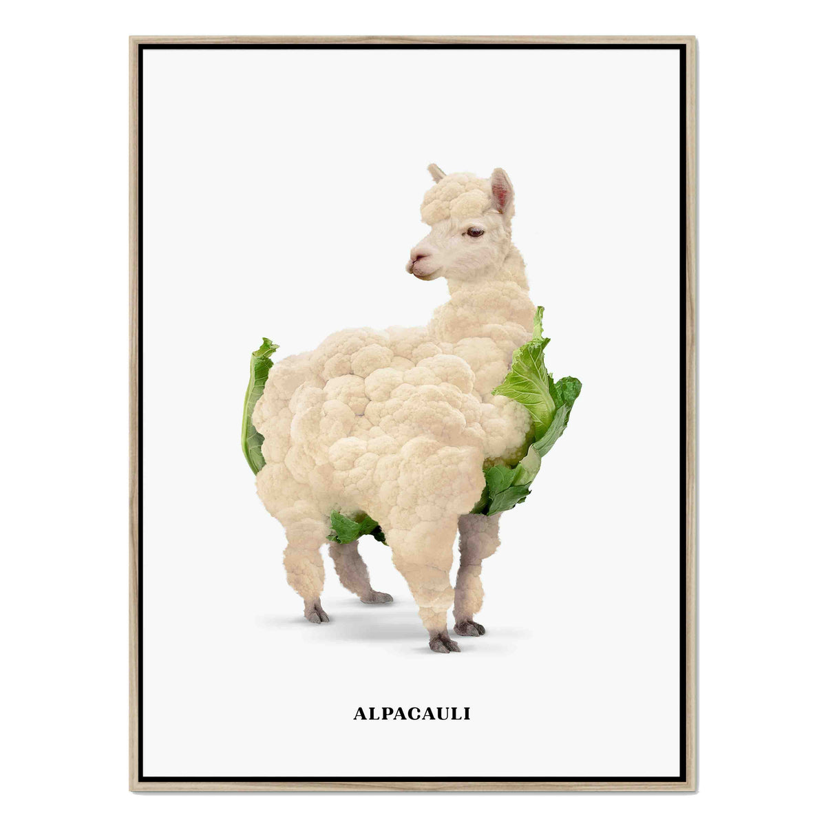 Greenwood Loop Alpaca Canvas Wall Art — gallery image 34