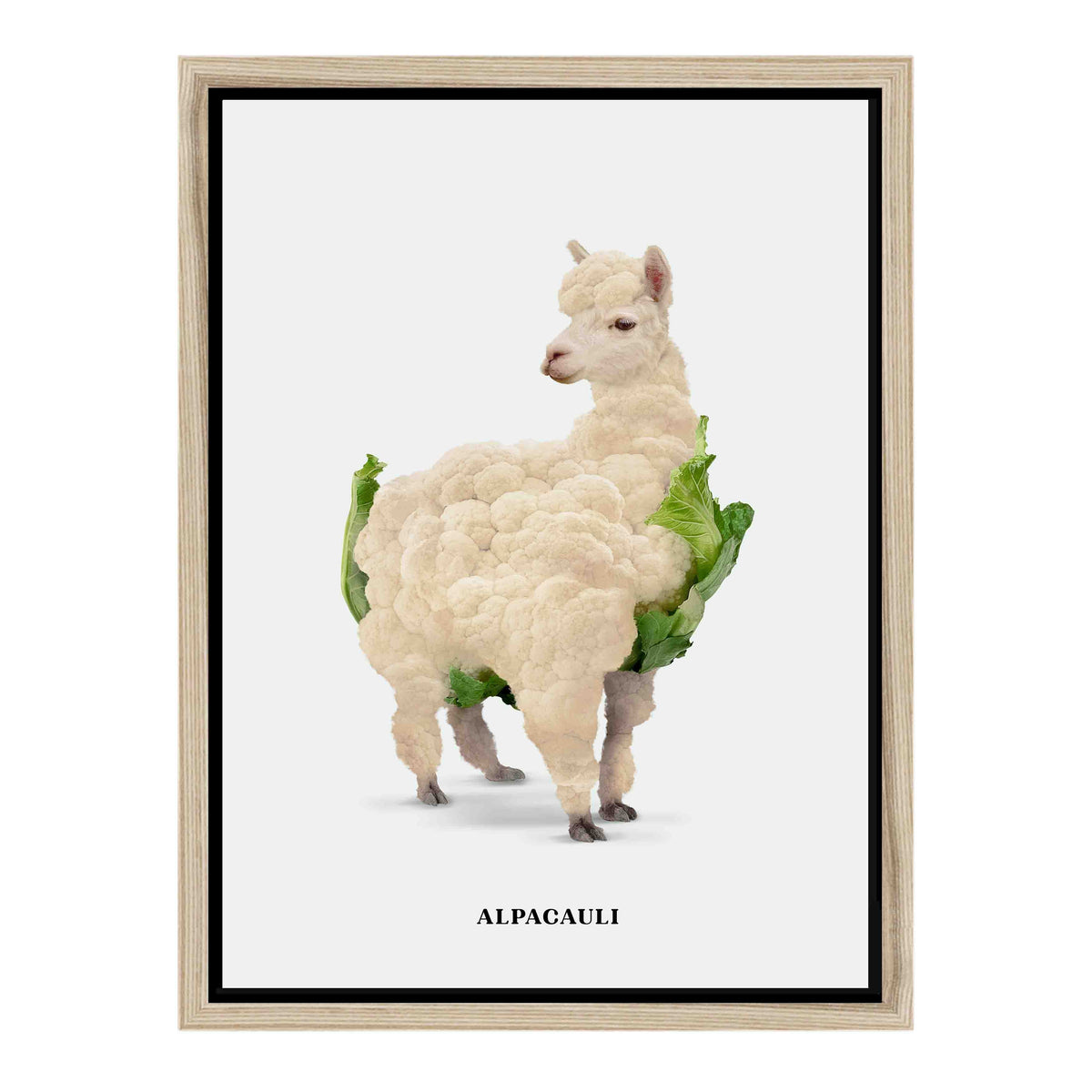 Greenwood Loop Alpaca Canvas Wall Art — gallery image 31