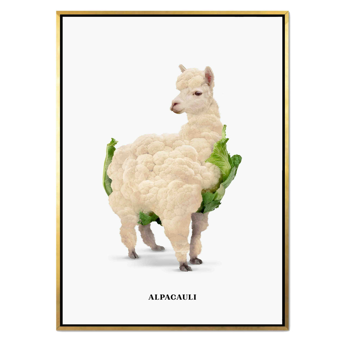 Greenwood Loop Alpaca Canvas Wall Art — gallery image 27