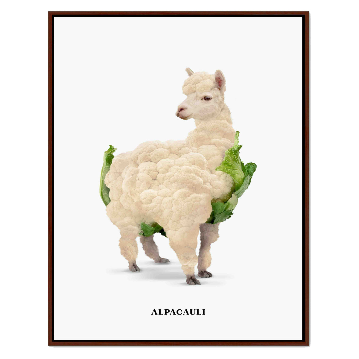 Greenwood Loop Alpaca Canvas Wall Art — gallery image 23