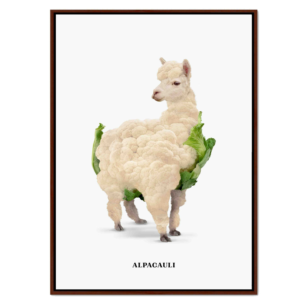 Greenwood Loop Alpaca Canvas Wall Art — gallery image 18