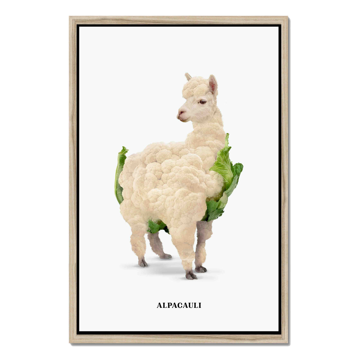 Greenwood Loop Alpaca Canvas Wall Art — gallery image 32