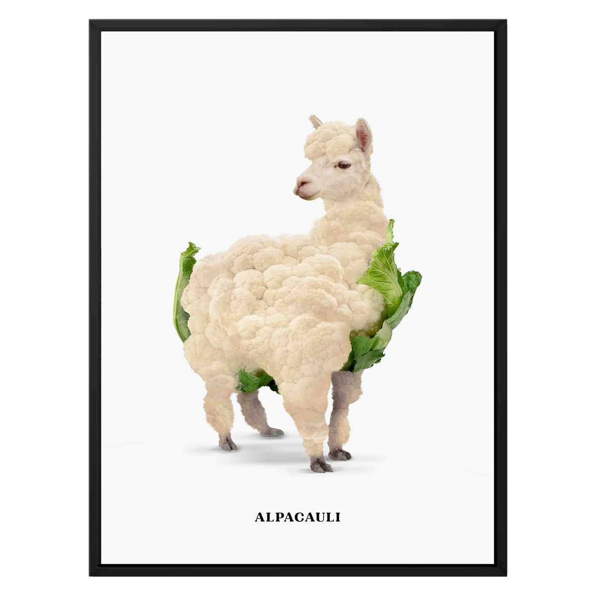 Greenwood Loop Alpaca Canvas Wall Art — gallery image 21