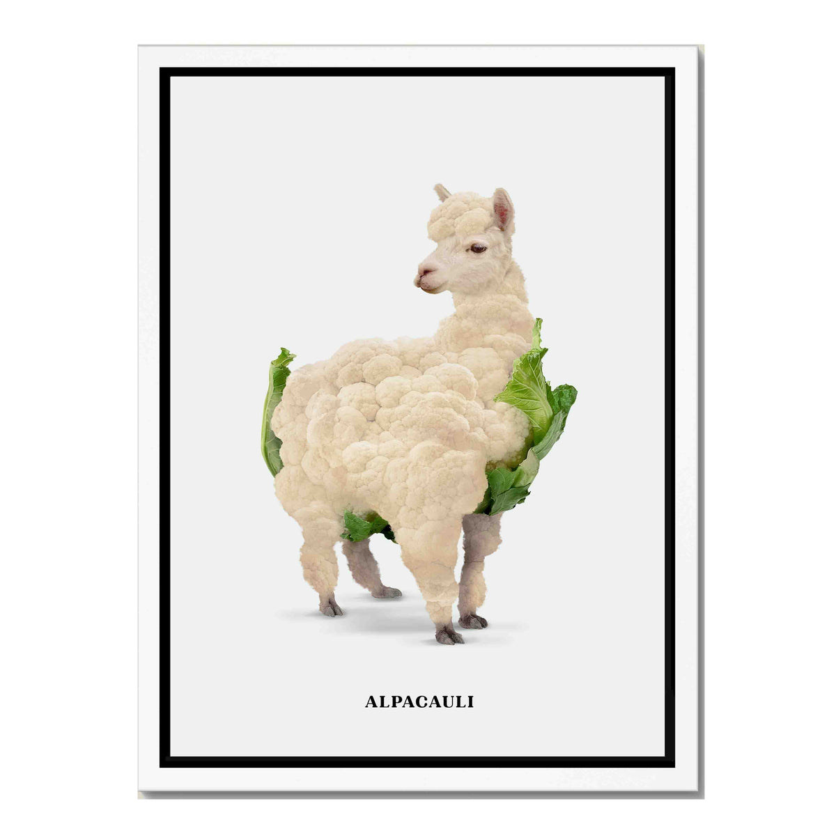 Greenwood Loop Alpaca Canvas Wall Art — gallery image 40