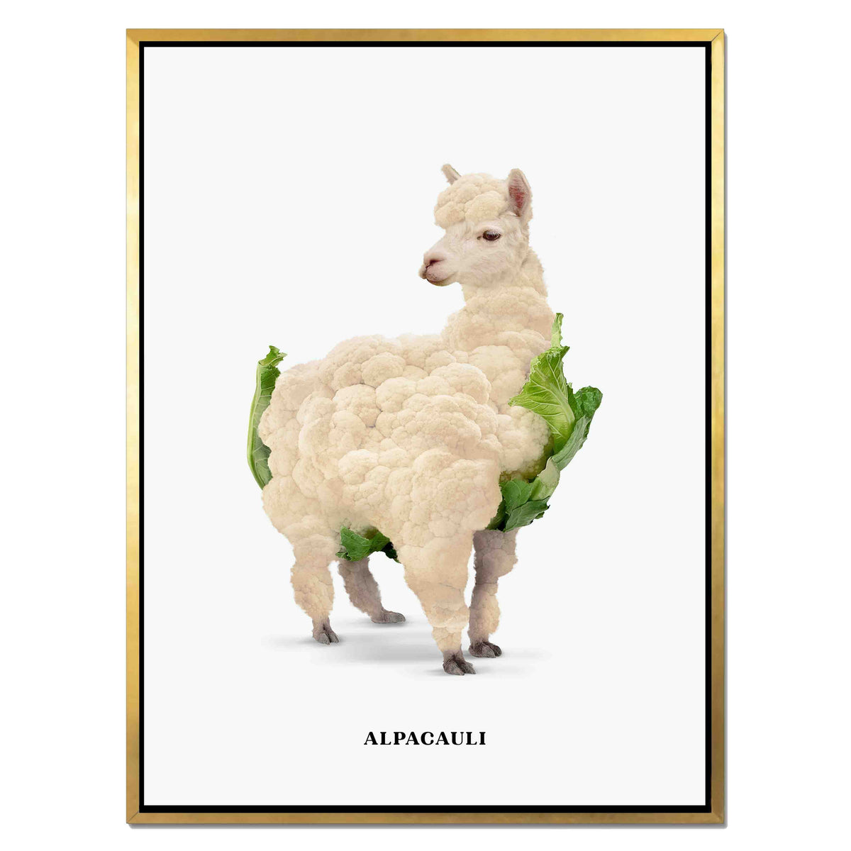 Greenwood Loop Alpaca Canvas Wall Art — gallery image 29