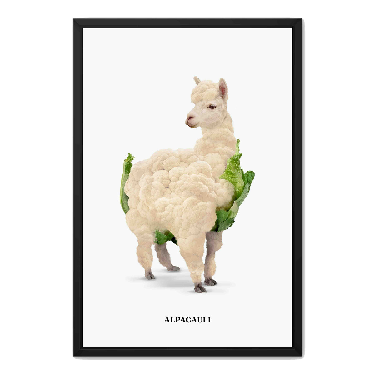 Greenwood Loop Alpaca Canvas Wall Art — gallery image 44