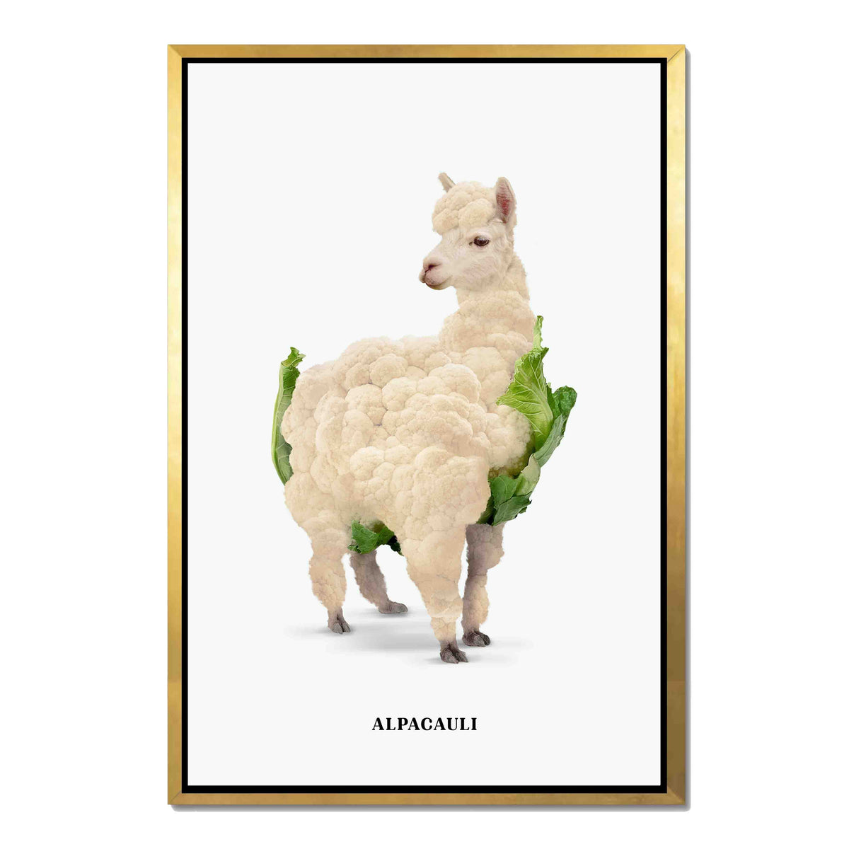 Greenwood Loop Alpaca Canvas Wall Art — gallery image 47