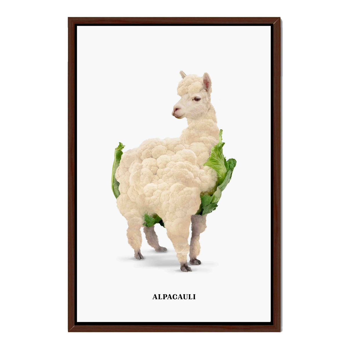 Greenwood Loop Alpaca Canvas Wall Art — gallery image 45