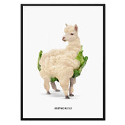 Greenwood Loop Alpaca Canvas Wall Art — gallery image 53