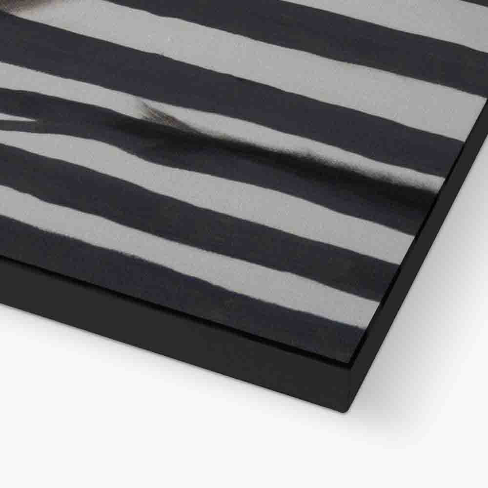 Northwick Axis Bulldog Canvas Wall Art — gallery image 14
