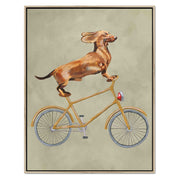 Fairford Axis Dachshund Canvas Wall Art — gallery image 36