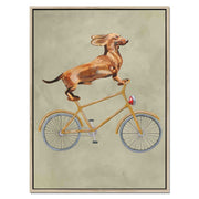 Fairford Axis Dachshund Canvas Wall Art — gallery image 40