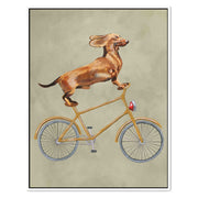 Fairford Axis Dachshund Canvas Wall Art — gallery image 48