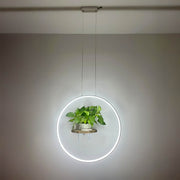 Chestnut Frame Aluminum Ring Pendant Light — gallery image 17