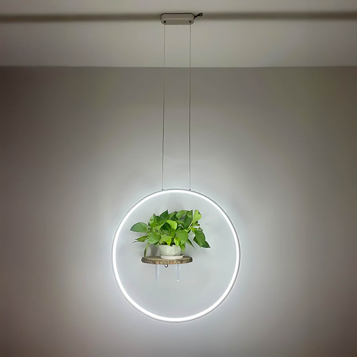 Chestnut Frame Aluminum Ring Pendant Light — gallery image 17