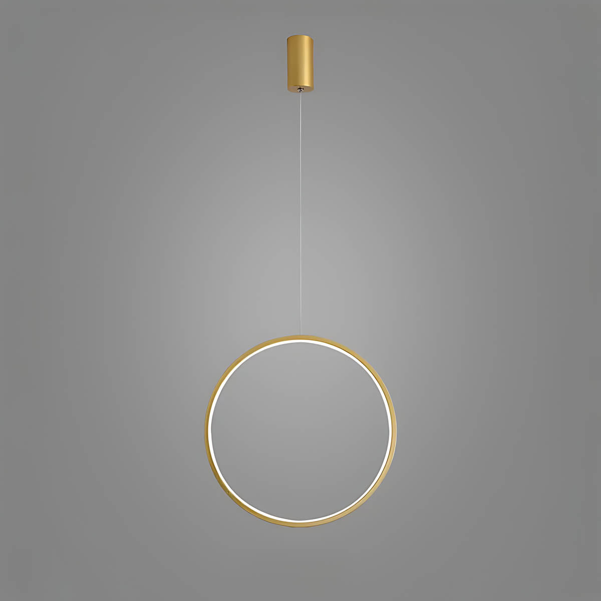 Chestnut Frame Aluminum Ring Pendant Light — gallery image 22