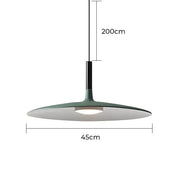 Asterwood Frame Acrylic Pendant Light — gallery image 29