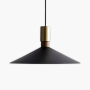 Thornfield Frame Iron Pendant Light — gallery image 1