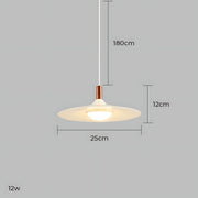 Elmwood Frame Iron Pendant Light — gallery image 21