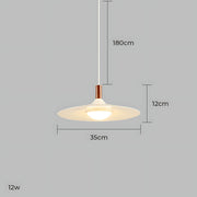 Elmwood Frame Iron Pendant Light — gallery image 22
