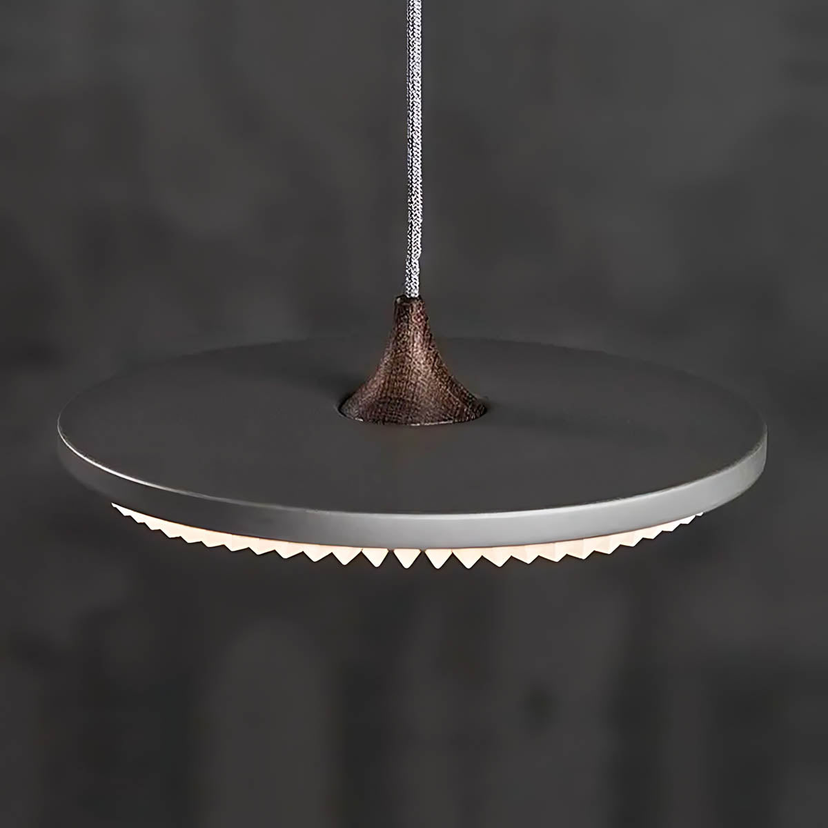 Beechwood Frame Aluminum Pendant Light — gallery image 16