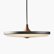 Beechwood Frame Aluminum Pendant Light — gallery image 1