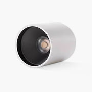 Westcott Frame Aluminum Ceiling Light — gallery image 1