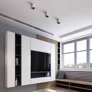 Alderwood Frame Aluminum Ceiling Light — gallery image 5