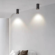 Lindenwood Vessel Ceramic Ceiling Light — gallery image 12