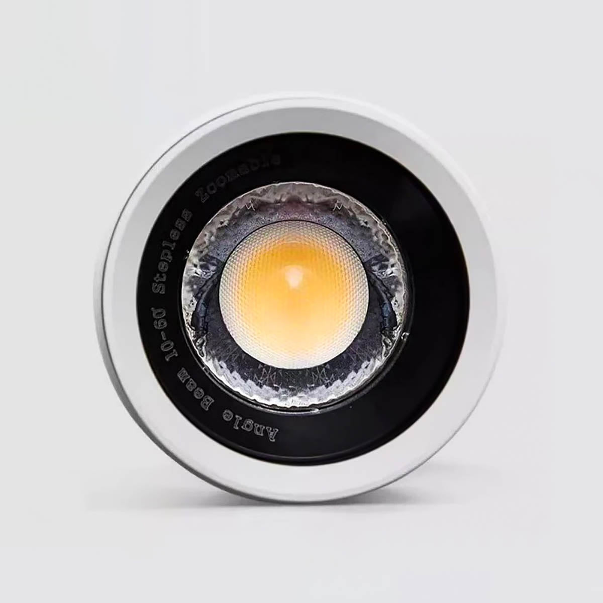 Briarwood Vessel Aluminum Ring Ceiling Light — gallery image 17