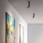 Chestnut Vessel Aluminum Ceiling Light — gallery image 4